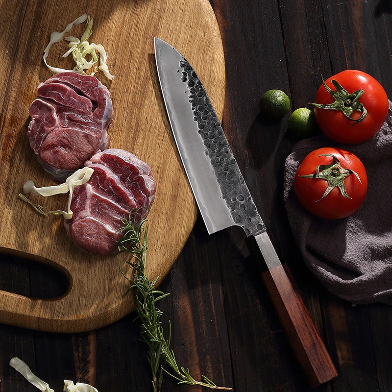 Teron Forged Stainless Steel Slicing & Santoku Knife